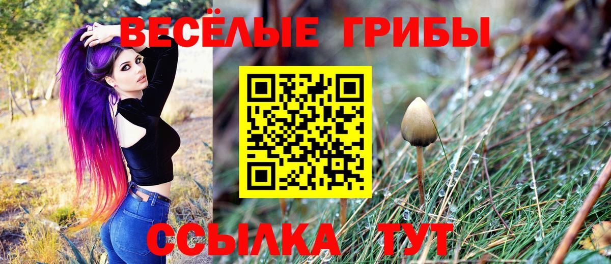 Галлюциногенные грибы Cubensis Кувандык